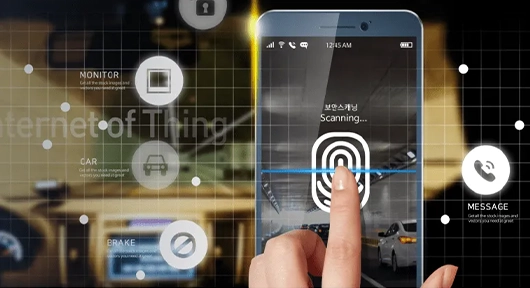 지나인스 이미지